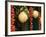 Sorrento Lemons and Cherry Tomatoes, Sorrento, Campania, Italy-Walter Bibikow-Framed Photographic Print