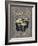 Sort - Gray-N. Harbick-Framed Art Print