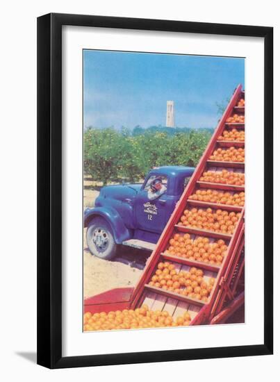 Sorting Oranges in Orchard-null-Framed Art Print