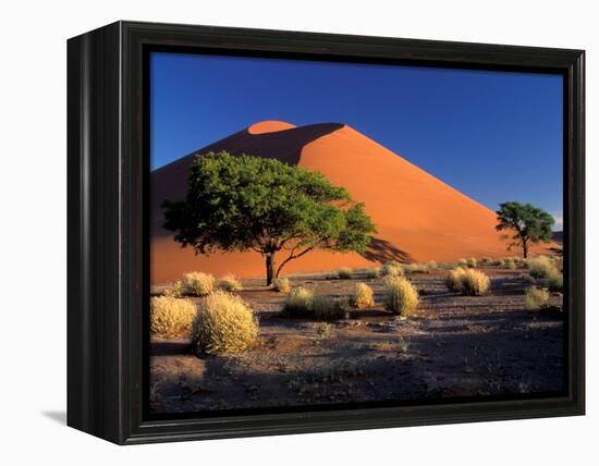 Sossosvlei Dunes, Namib-Naukluff Park, Namibia-Art Wolfe-Framed Premier Image Canvas