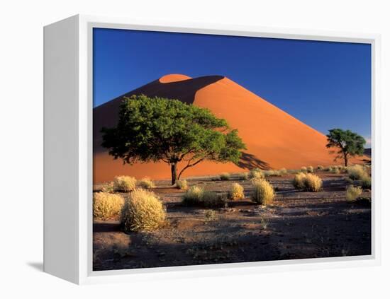 Sossosvlei Dunes, Namib-Naukluff Park, Namibia-Art Wolfe-Framed Premier Image Canvas