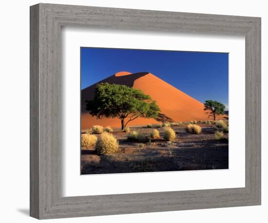 Sossosvlei Dunes, Namib-Naukluff Park, Namibia-Art Wolfe-Framed Photographic Print