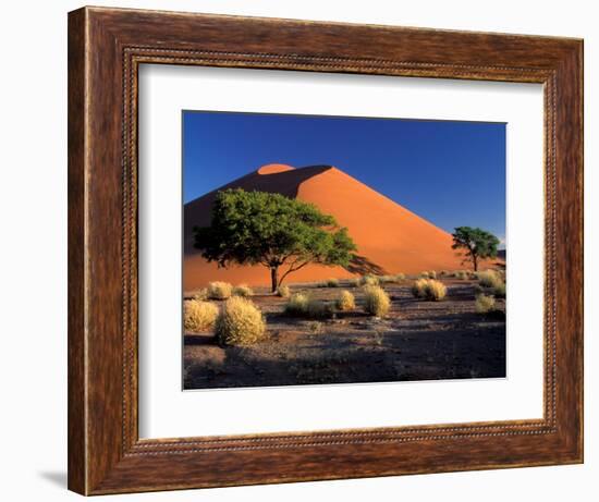 Sossosvlei Dunes, Namib-Naukluff Park, Namibia-Art Wolfe-Framed Photographic Print