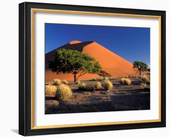 Sossosvlei Dunes, Namib-Naukluff Park, Namibia-Art Wolfe-Framed Photographic Print