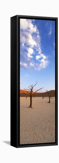 Sossusvlei, Namib-Naukluft Park, Namibia, Africa-Gavin Hellier-Framed Premier Image Canvas