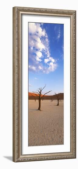 Sossusvlei, Namib-Naukluft Park, Namibia, Africa-Gavin Hellier-Framed Photographic Print