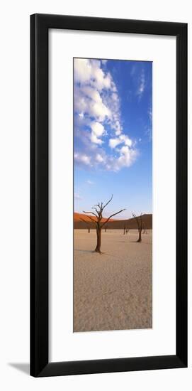 Sossusvlei, Namib-Naukluft Park, Namibia, Africa-Gavin Hellier-Framed Photographic Print