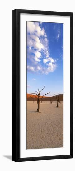 Sossusvlei, Namib-Naukluft Park, Namibia, Africa-Gavin Hellier-Framed Photographic Print