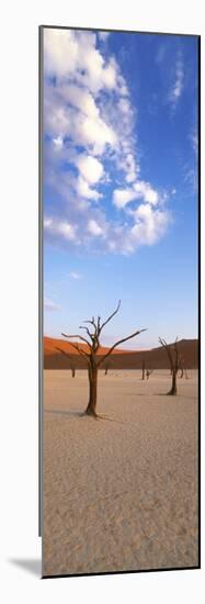 Sossusvlei, Namib-Naukluft Park, Namibia, Africa-Gavin Hellier-Mounted Photographic Print