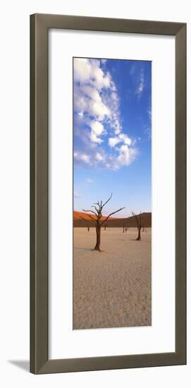 Sossusvlei, Namib-Naukluft Park, Namibia, Africa-Gavin Hellier-Framed Photographic Print