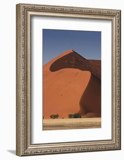 Sossusvlei, Namibia. Red Sand Dunes-Janet Muir-Framed Photographic Print