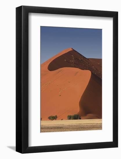 Sossusvlei, Namibia. Red Sand Dunes-Janet Muir-Framed Photographic Print