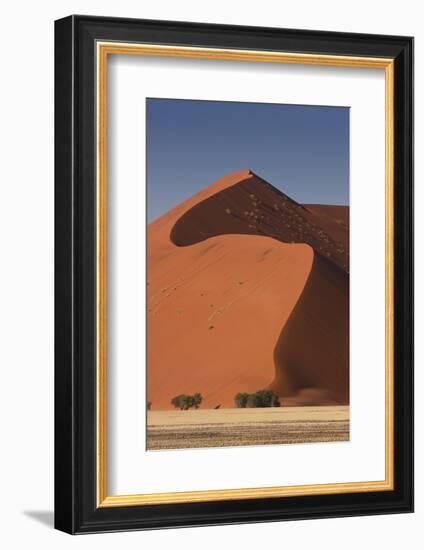 Sossusvlei, Namibia. Red Sand Dunes-Janet Muir-Framed Photographic Print