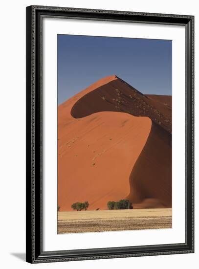 Sossusvlei, Namibia. Red Sand Dunes-Janet Muir-Framed Photographic Print