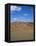 Sossusvlei Sand Dunes, Namib Naukluft Park, Namibia, Africa-Geoff Renner-Framed Premier Image Canvas