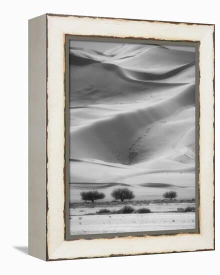 Sossusvlei Sand Dunes-Stuart Westmorland-Framed Premier Image Canvas