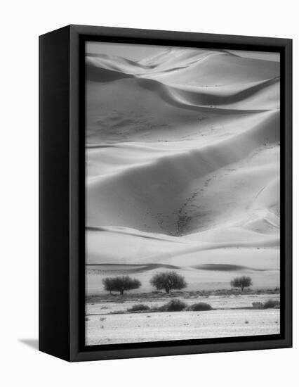 Sossusvlei Sand Dunes-Stuart Westmorland-Framed Premier Image Canvas