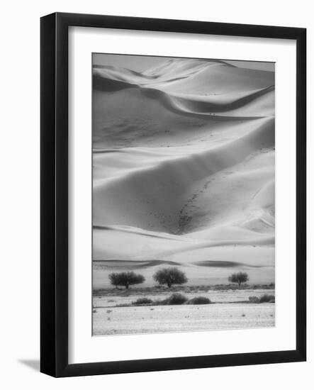 Sossusvlei Sand Dunes-Stuart Westmorland-Framed Photographic Print