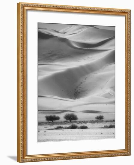 Sossusvlei Sand Dunes-Stuart Westmorland-Framed Photographic Print