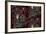 Sothern Bop Ruby-Bill Jackson-Framed Giclee Print