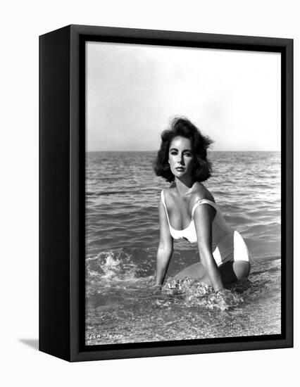 Soudain l'ete dernier SUDDENLY, LAST SUMMER, 1959 by JOSEPH L. MANKIEWICZ with Elizabeth Taylor (b/-null-Framed Stretched Canvas