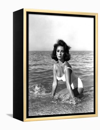 Soudain l'ete dernier SUDDENLY, LAST SUMMER, 1959 by JOSEPH L. MANKIEWICZ with Elizabeth Taylor (b/-null-Framed Stretched Canvas