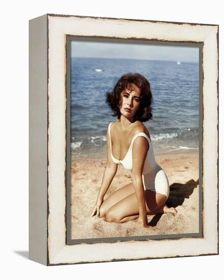 Soudain l'ete dernier SUDDENLY, LAST SUMMER, 1959 by JOSEPH L. MANKIEWICZ with Elizabeth Taylor (ph-null-Framed Stretched Canvas