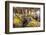 Souk (Market), Taroudant, Morocco-Peter Adams-Framed Photographic Print