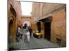 Souk, Marrakech (Marrakesh), Morocco, North Africa, Africa-Sergio Pitamitz-Mounted Photographic Print