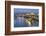 Souk Shark Mall and Kuwait Harbour, Illuminated at Dusk, Kuwait City, Kuwait, Middle East-Gavin-Framed Photographic Print