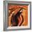 Soul Bird 4-Rabi Khan-Framed Art Print