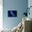 Soul in blue-Heidi Westum-Framed Premier Image Canvas displayed on a wall