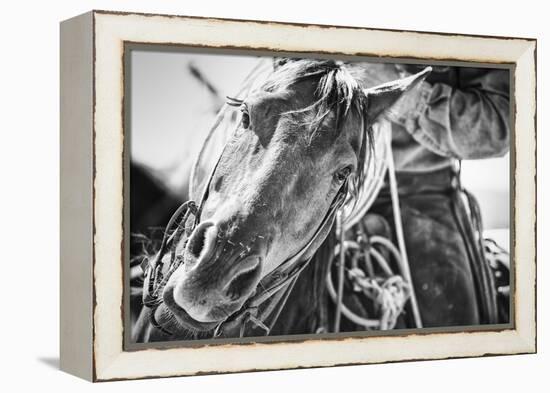 Soul of the West-Dan Ballard-Framed Premier Image Canvas