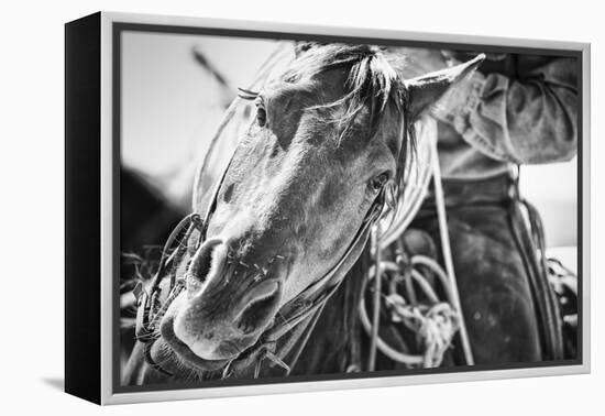 Soul of the West-Dan Ballard-Framed Premier Image Canvas