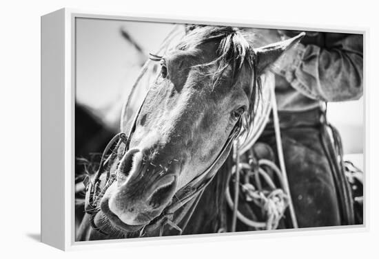 Soul of the West-Dan Ballard-Framed Premier Image Canvas