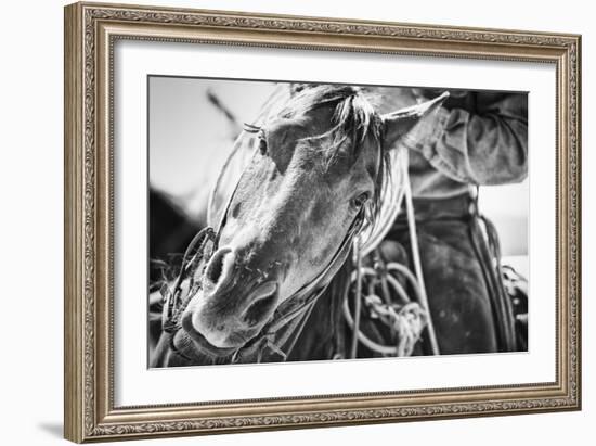 Soul of the West-Dan Ballard-Framed Photographic Print