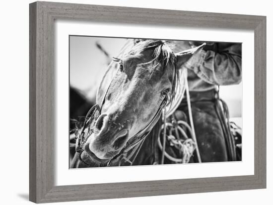 Soul of the West-Dan Ballard-Framed Photographic Print