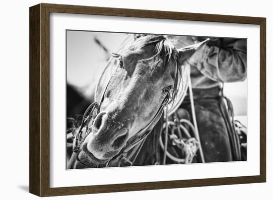 Soul of the West-Dan Ballard-Framed Photographic Print