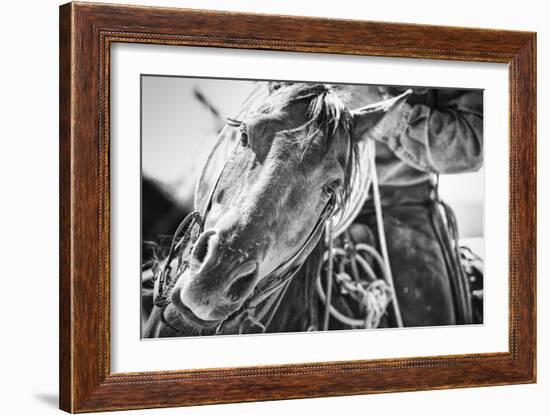 Soul of the West-Dan Ballard-Framed Photographic Print