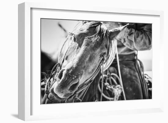 Soul of the West-Dan Ballard-Framed Photographic Print