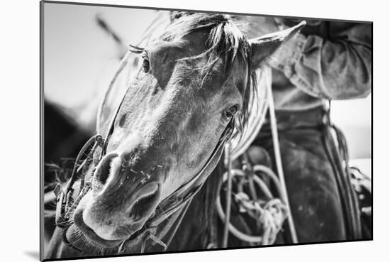 Soul of the West-Dan Ballard-Mounted Photographic Print