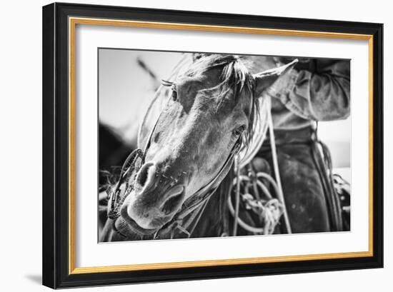 Soul of the West-Dan Ballard-Framed Photographic Print