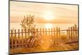 Premium Photographic Print