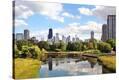 Stretched Canvas Print