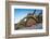 Sour pitaya cactus and Santa Catalina barrel cactus, Mexico-Claudio Contreras-Framed Photographic Print