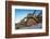 Sour pitaya cactus and Santa Catalina barrel cactus, Mexico-Claudio Contreras-Framed Photographic Print