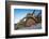 Sour pitaya cactus and Santa Catalina barrel cactus, Mexico-Claudio Contreras-Framed Photographic Print