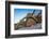 Sour pitaya cactus and Santa Catalina barrel cactus, Mexico-Claudio Contreras-Framed Photographic Print