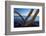 Sour pitaya cactus, Loreto Bay National Park-Claudio Contreras-Framed Photographic Print