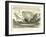 Source of the River Apurimac-Édouard Riou-Framed Giclee Print